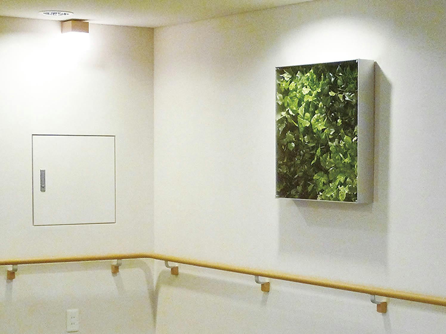 ウォールグリーン GR3116 ｜フェイクグリーン 壁掛け BOXフレーム