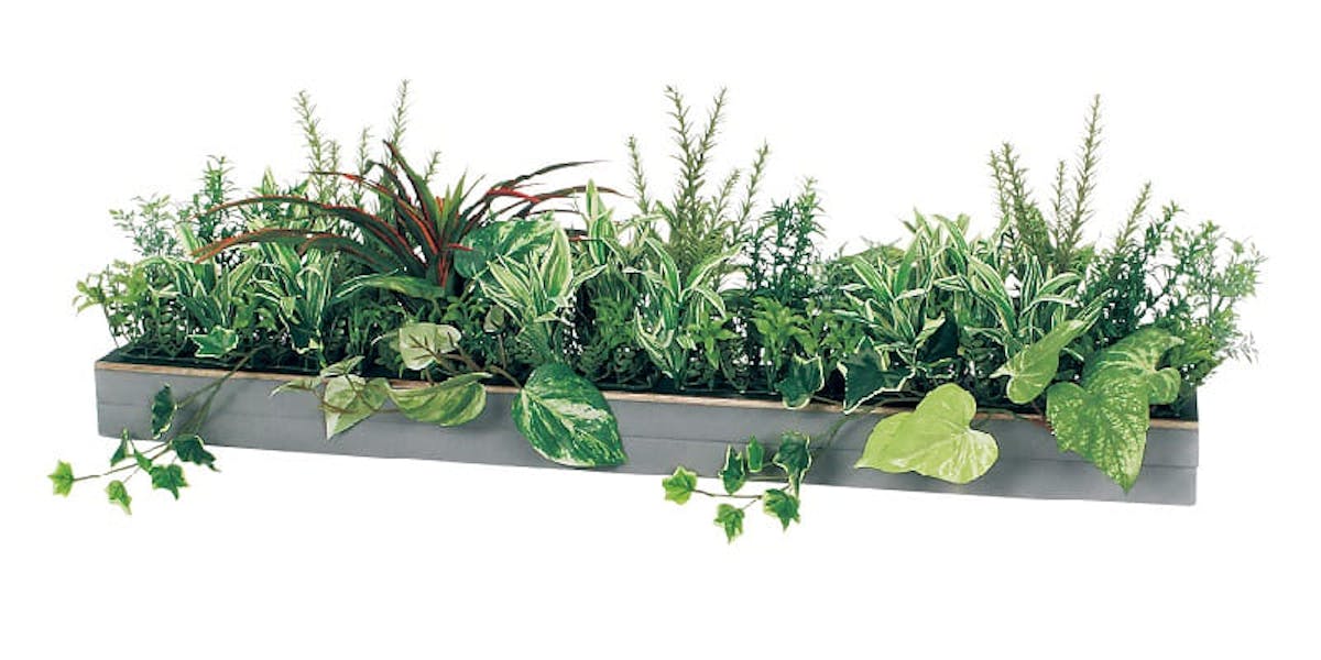 ワイドグリーン