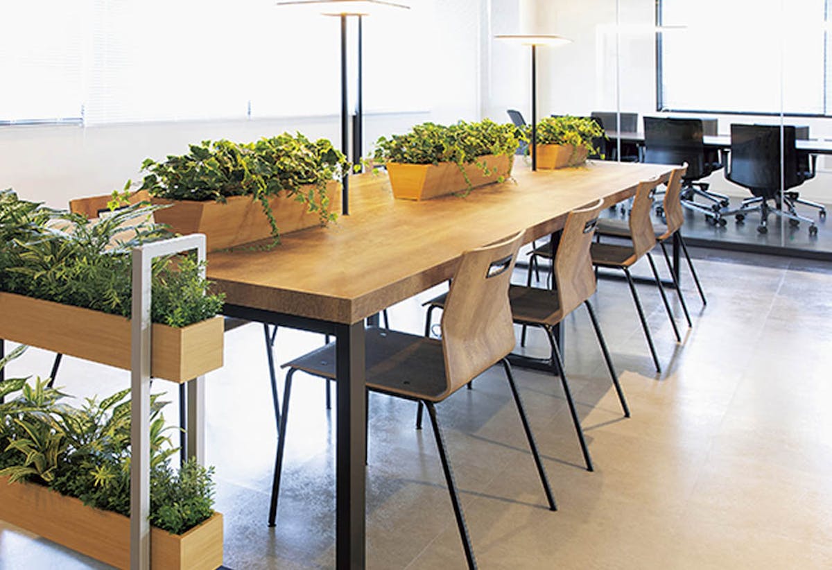 グリーンポット「卓上ポット」