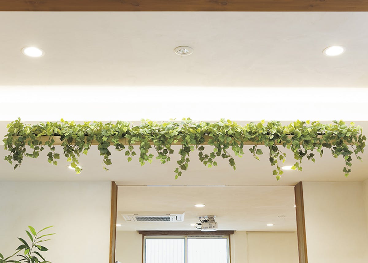 グリーンポット グリーンポット