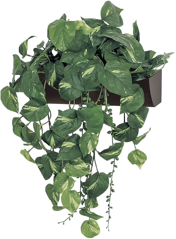 専用＊グリーン＆グリーンブルーベリー　フェイクスワッグ(横型) 専用＊グリーン＆グリーンブルーベリー フェイクスワッグ(横型)