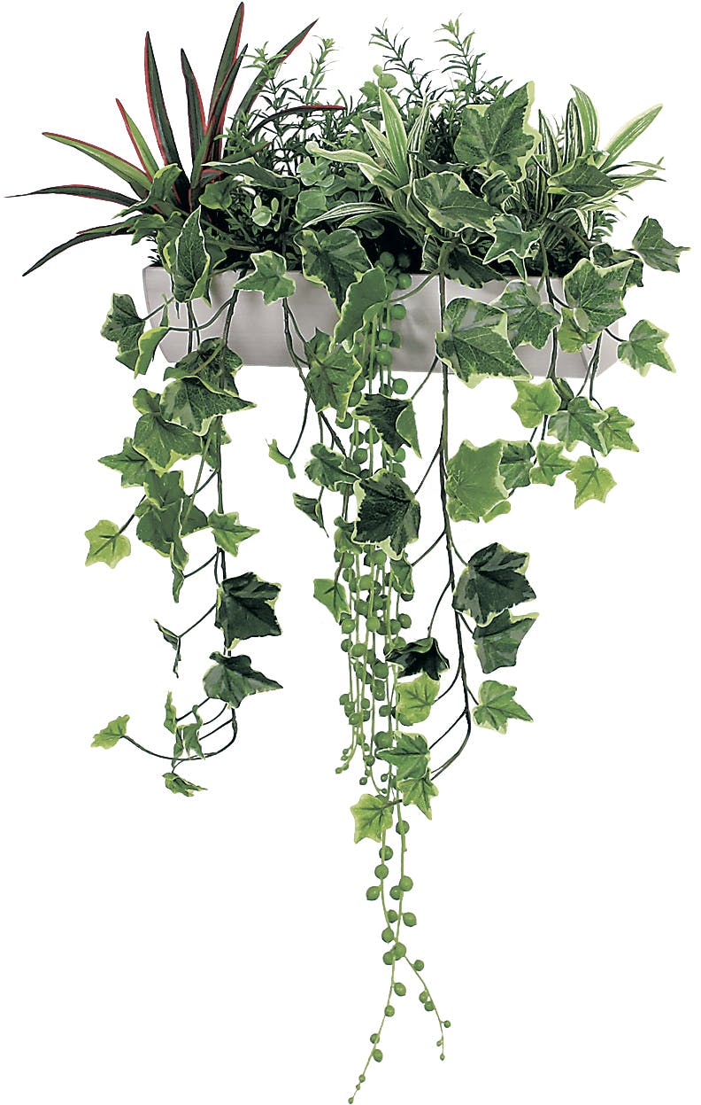 ウォールポット GR4348 ｜フェイクグリーン 壁掛け ミニポット アイボリー