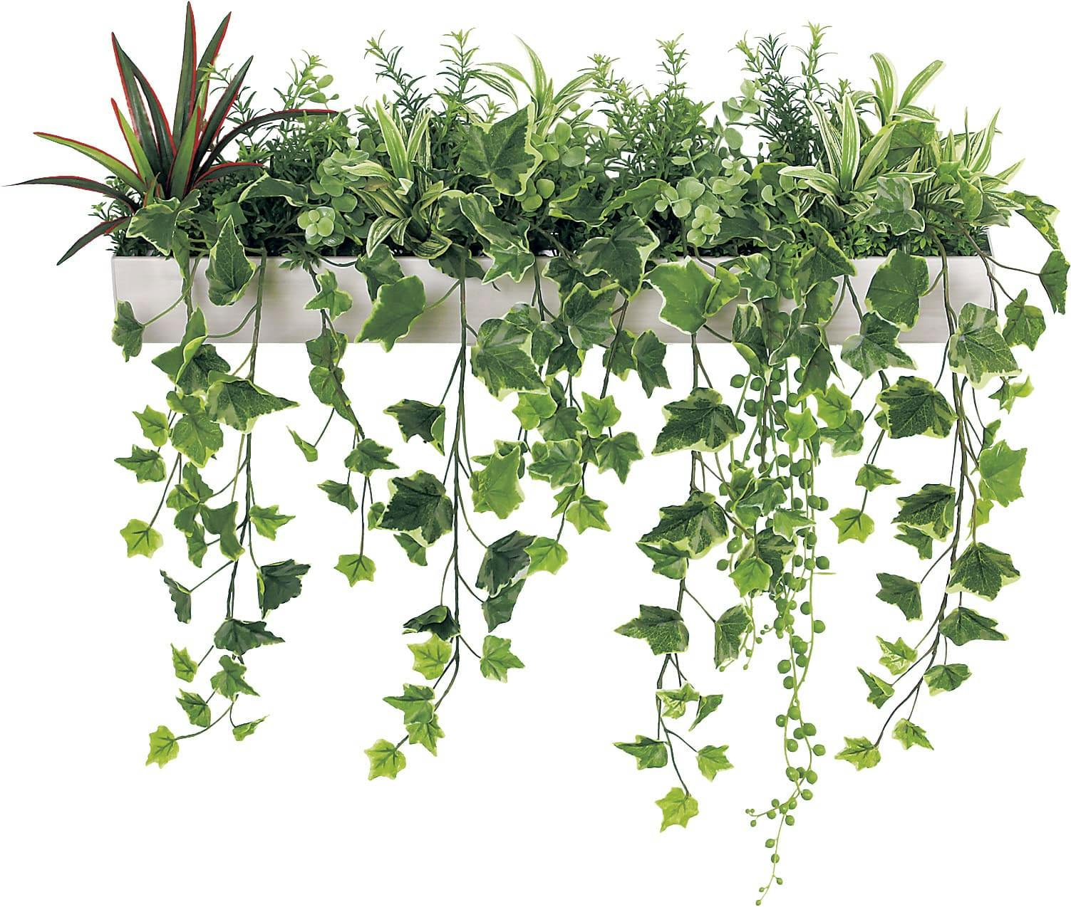 ウォールポット GR4344 ｜フェイクグリーン 壁掛け アールタイプ