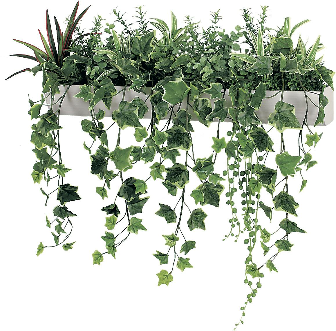 ウォールポット GR4344 ｜フェイクグリーン 壁掛け アールタイプ