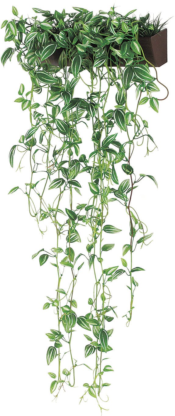 壁掛けフェイクグリーン ×24 Amazon｜造花グリーン 人工観葉植物 フェイクグリーン 24本入り【Xiaz