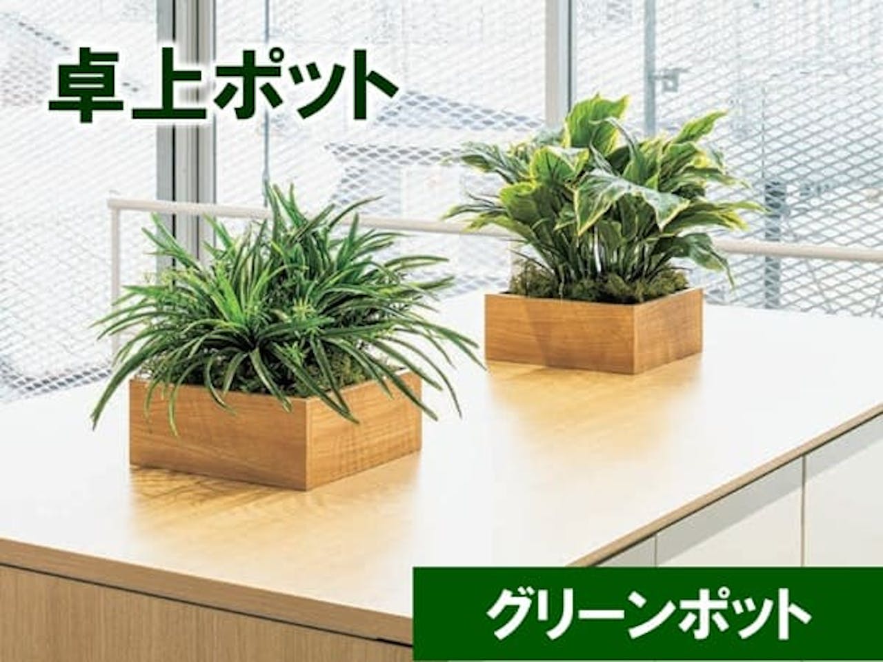 卓上ポット_グリーンポット