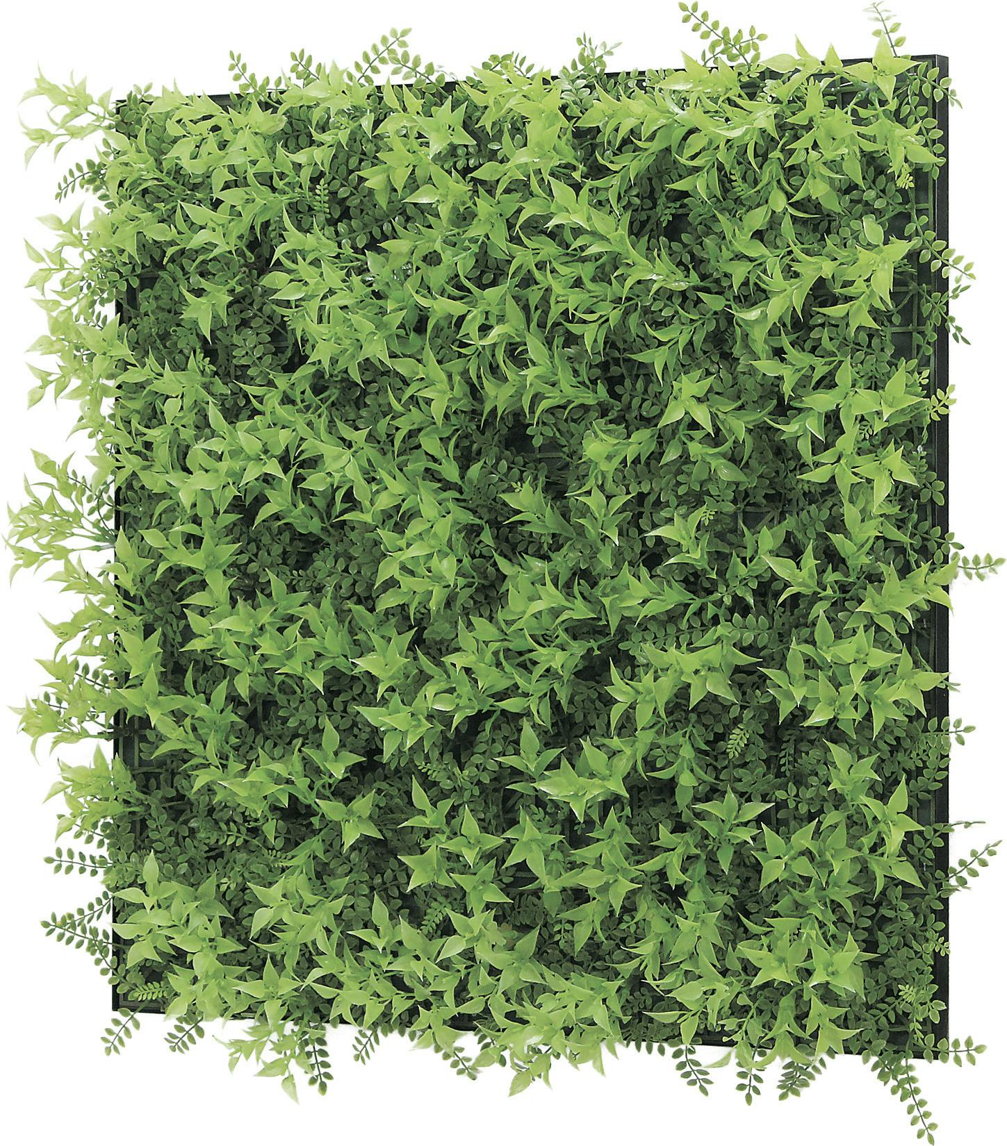 GREE 図壱萬 マグネットグリーン(単品) GR1245 25角｜フェイクグリーン 壁面