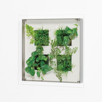 トイレにおすすめの観葉植物をご紹介 風水 人気 フェイク グリーン