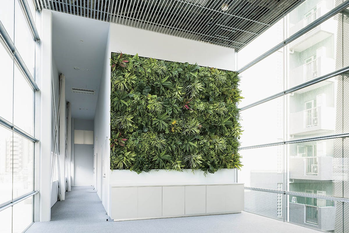 グリーンパネル  連接グリーン