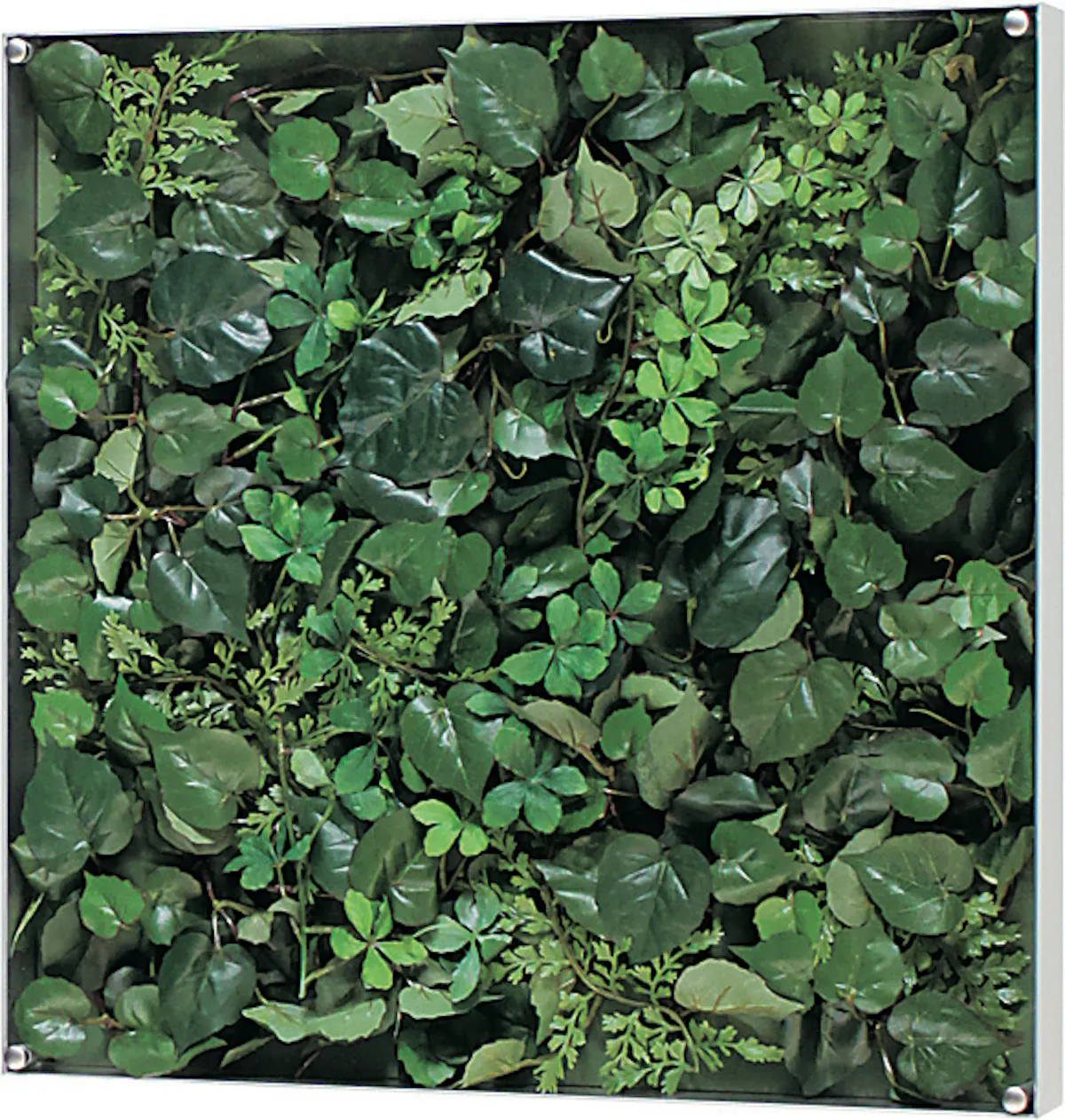 ウォールグリーン GR3561 ｜フェイクグリーン 壁掛け 薄型BOXフレーム 