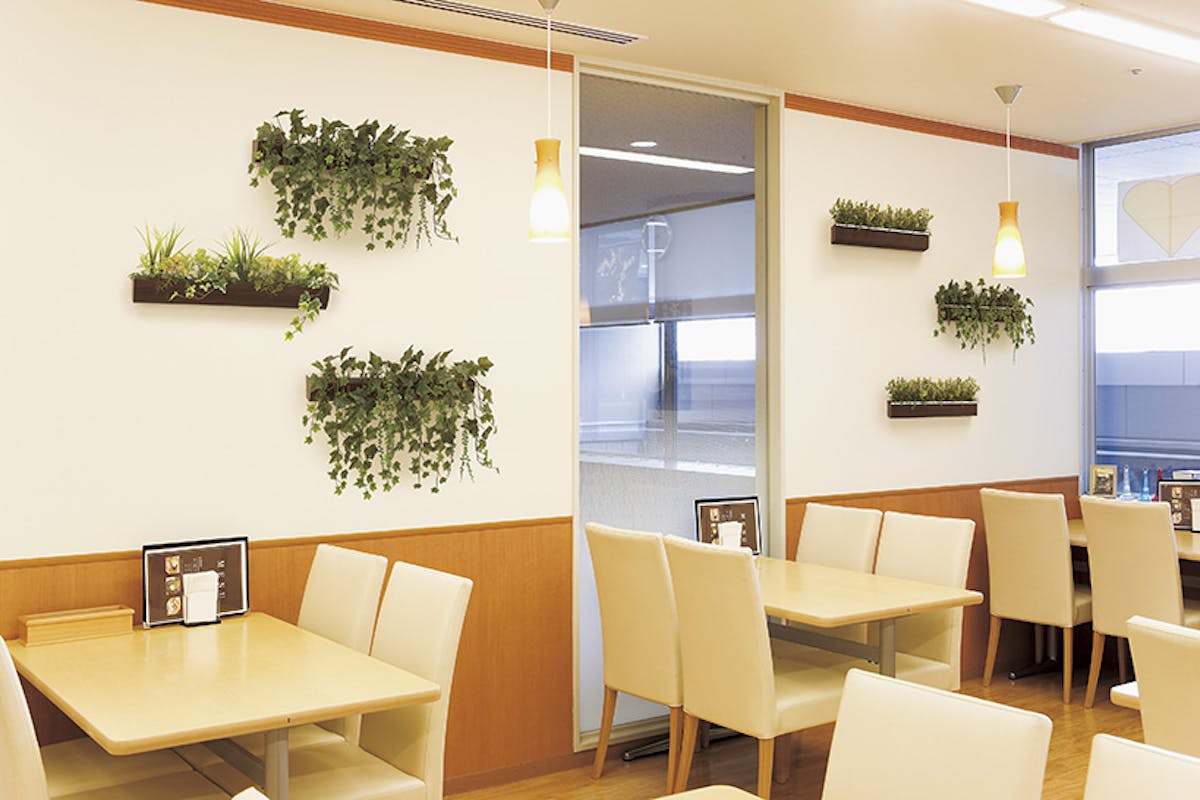 グリーンポット グリーンポット