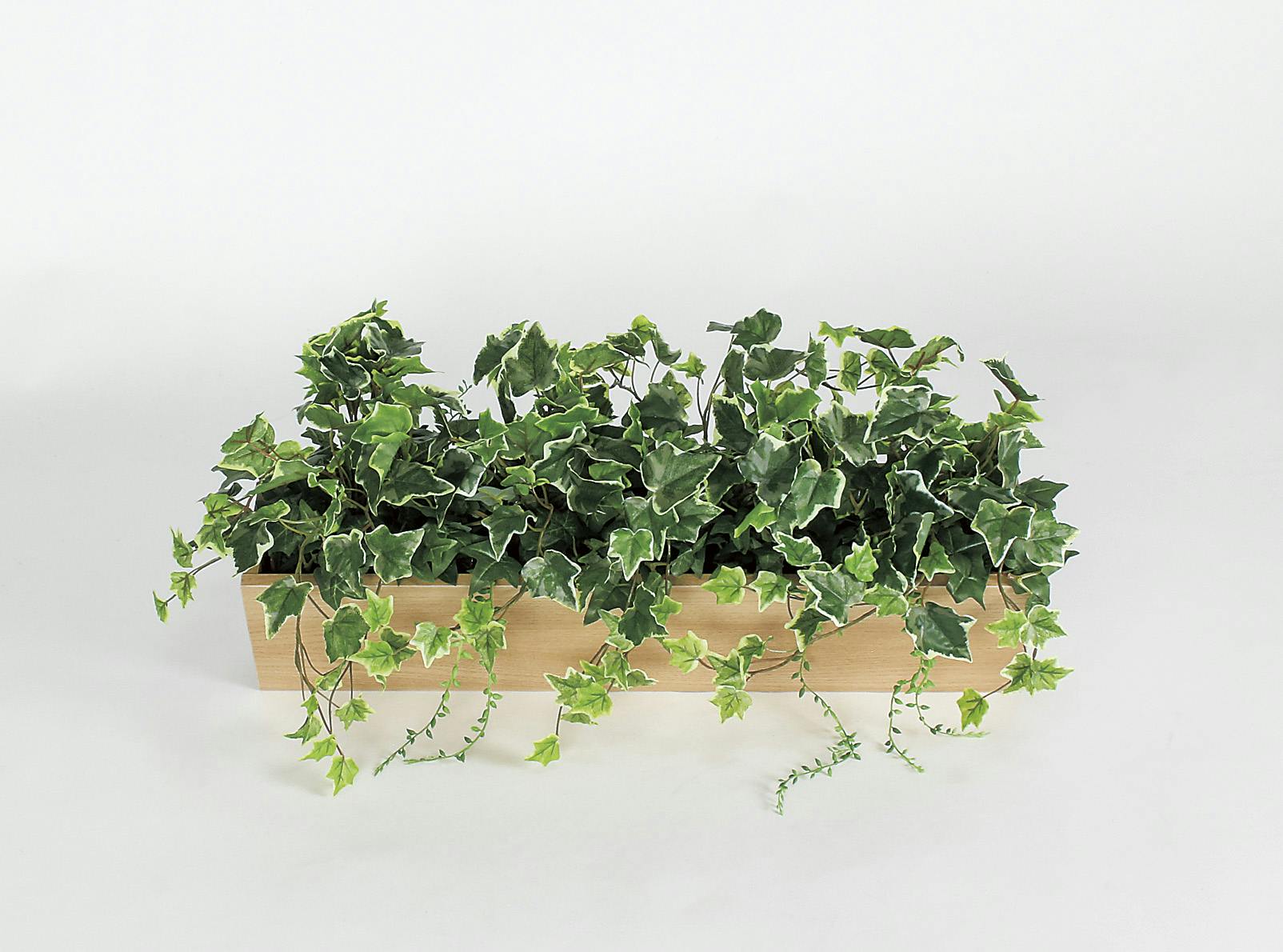 卓上間仕切りポット GR4299 ｜フェイクグリーン 卓上 斜めボックス(中