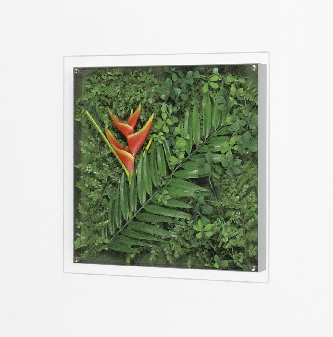 グリーン GR3430 ｜フェイクグリーン 壁掛け 南国風