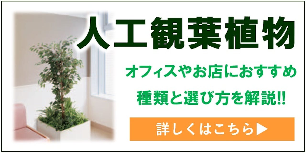 人工観葉植物はこちら
