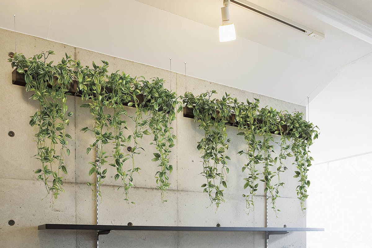 グリーンポット デザインポット