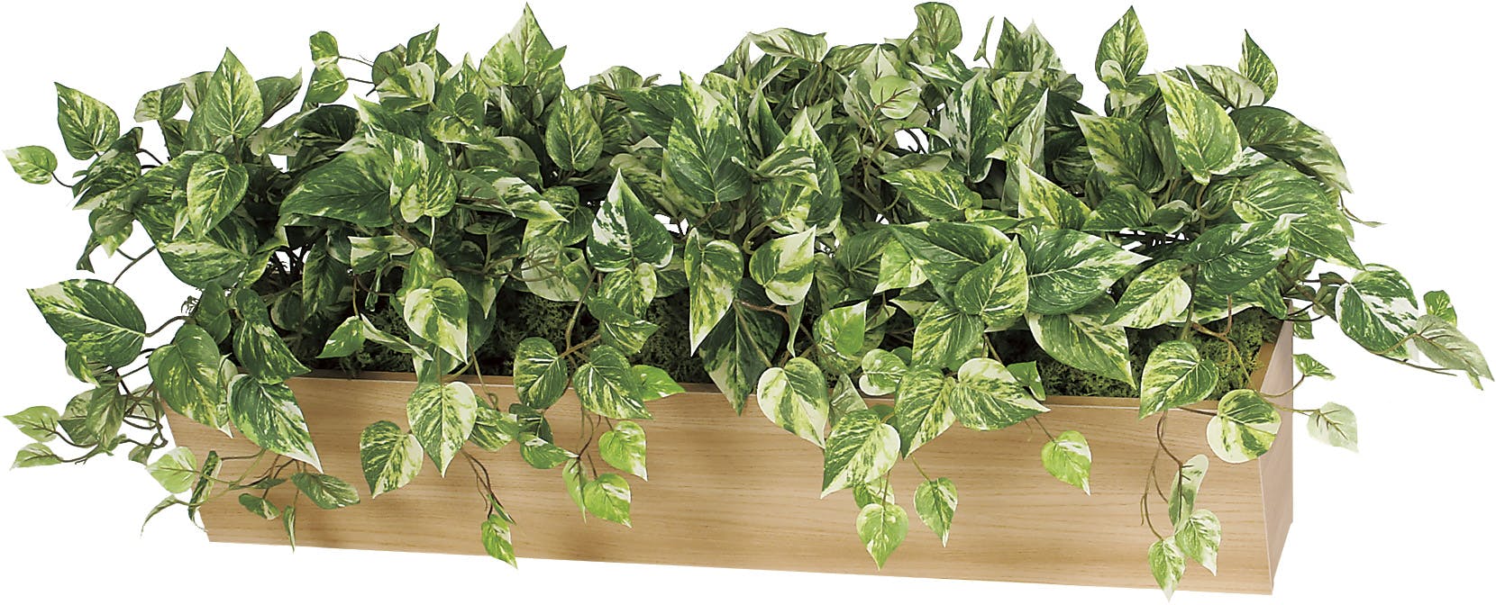 デザインポット GR4319 ｜フェイクグリーン 壁付け BOXポット（大