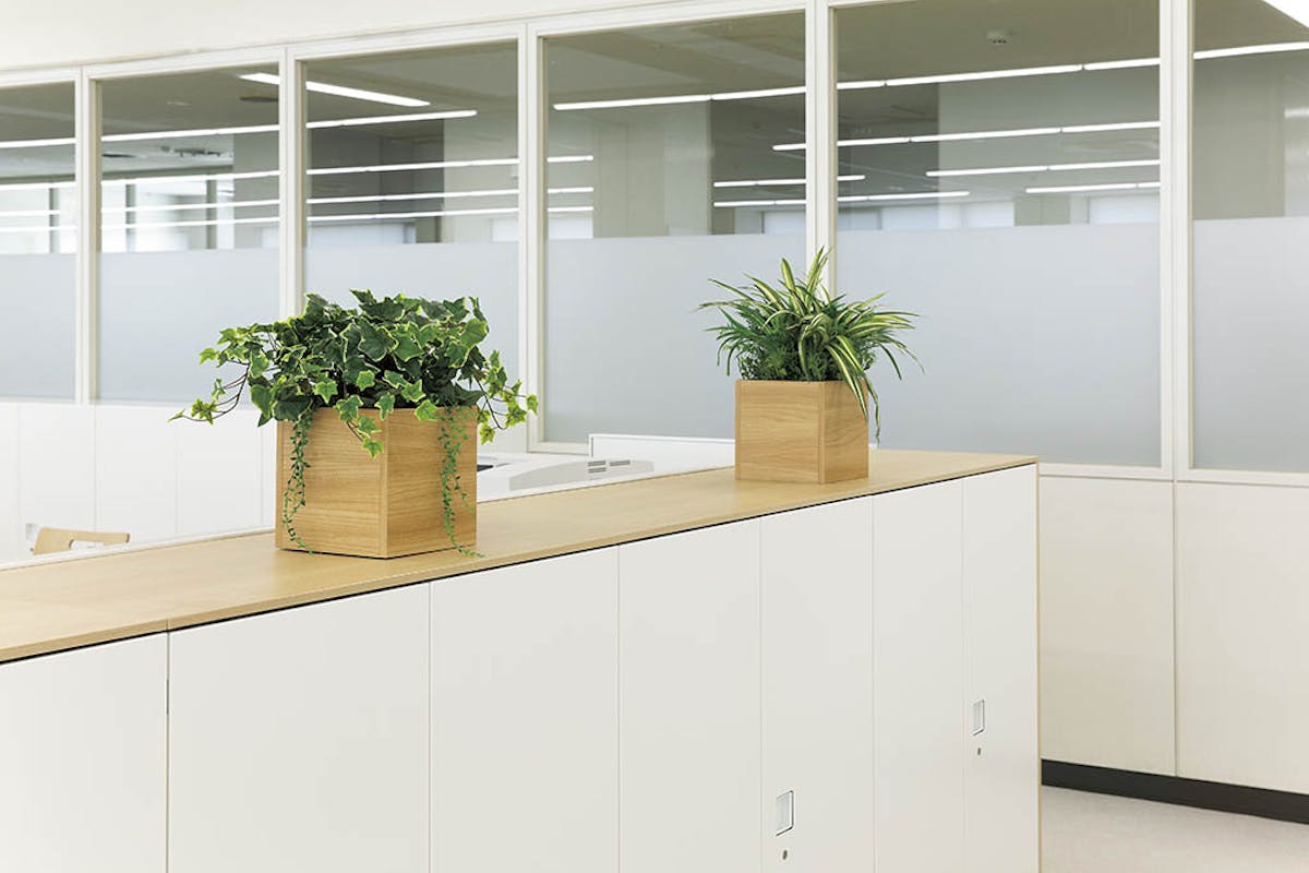 グリーンポット 卓上ポット