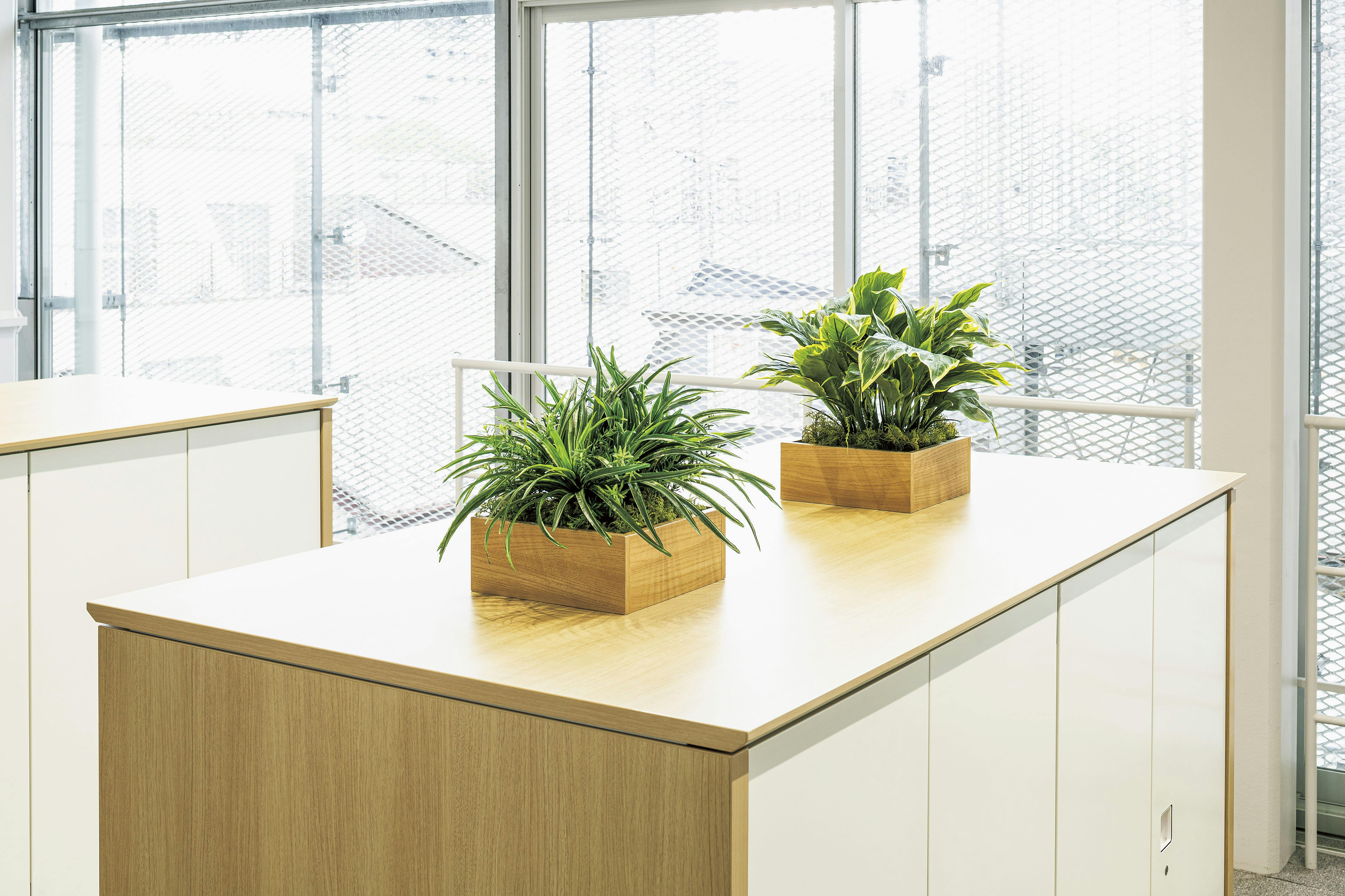 卓上ポット GR4281 ｜フェイクグリーン 卓上 スクエアタイプ ナチュラル