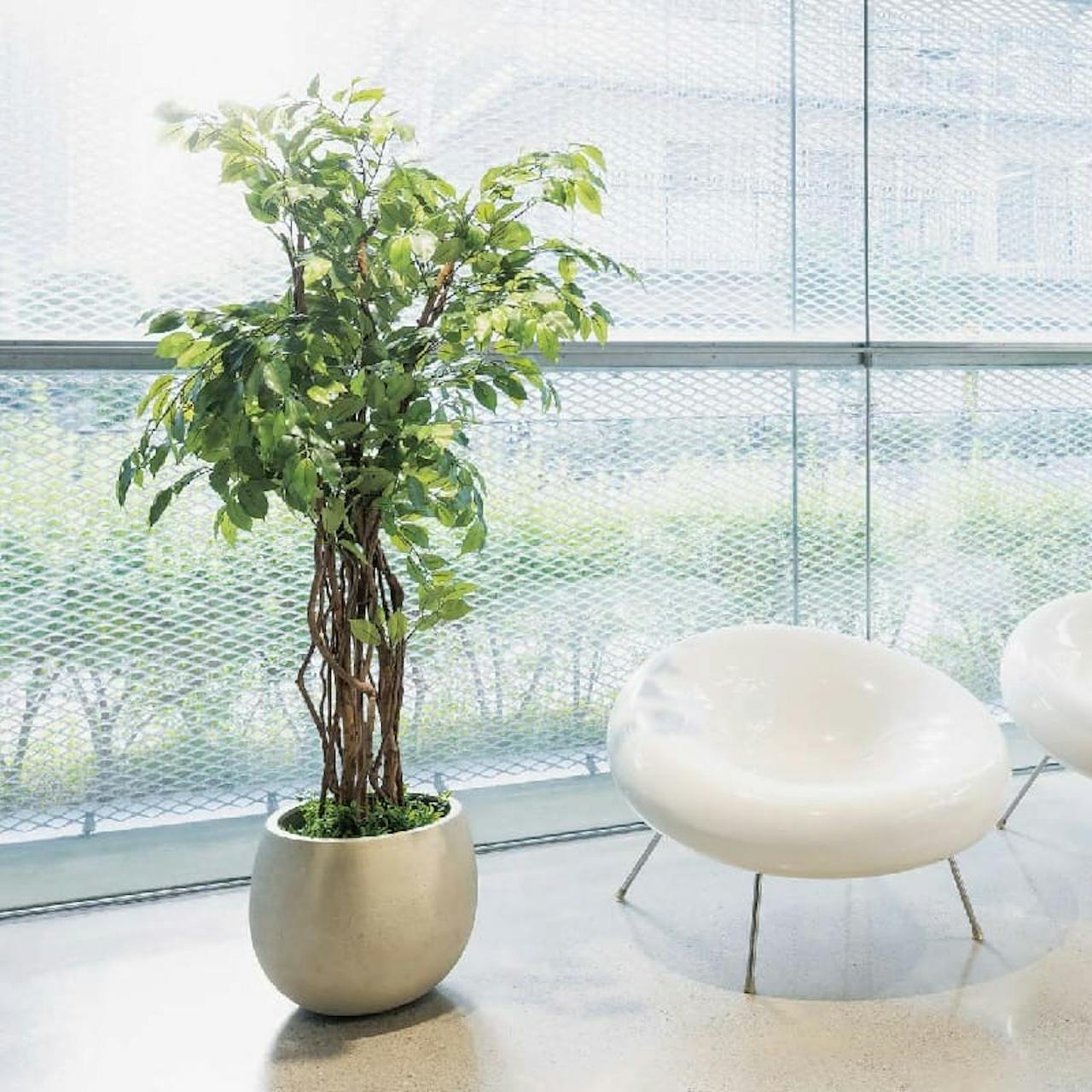 人工樹木の定番品