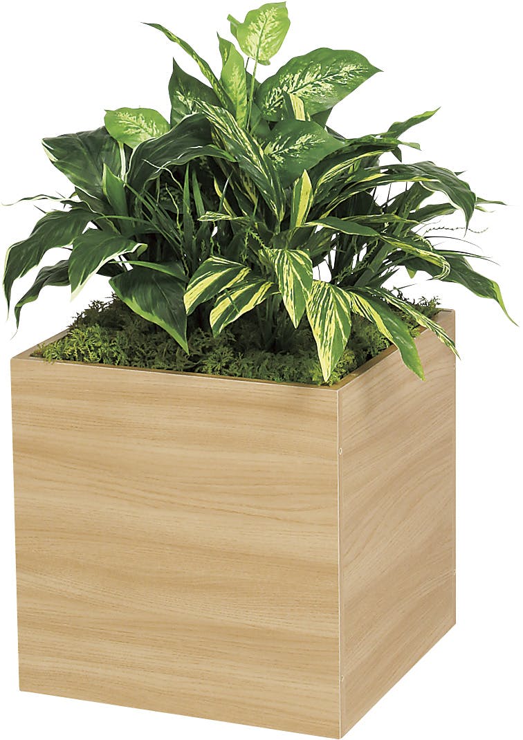 プランタースタンド 幅60.5 奥行28 高さ72.5cm ガーデン ガーデン用品 植木鉢 プランター プランタースタンド 幅60.5×奥行28×高さ72.5cm ボックス ラック 棚付き