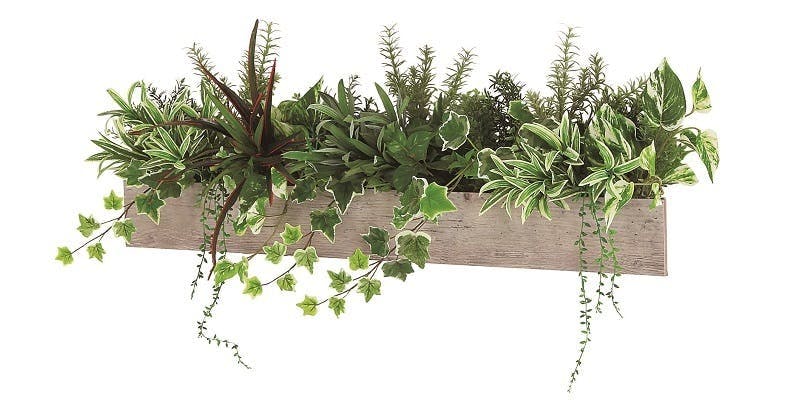 グリーンモード_グリーンポット_デザインポット_バナー